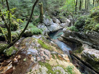 Lepenca deresi (Bovec, Slovenya) - Der Sunik-Wasserhain oder Wasserfaelle am Bach Lepenca (Slowenien) - Sunikov vodni gaj v Lepeni (Slovenija))