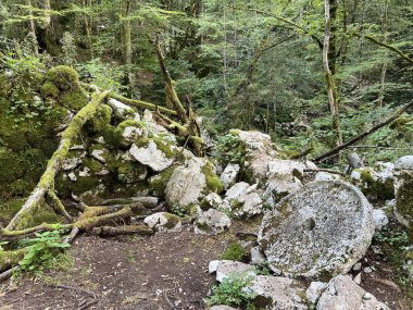 Lepenca deresi (Bovec, Slovenya) - Der Sunik-Wasserhain oder Wasserfaelle am Bach Lepenca (Slowenien) - Sunikov vodni gaj v Lepeni (Slovenija))