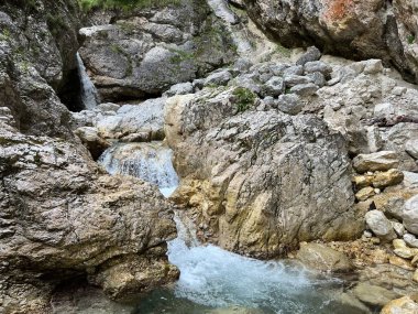 Mlinarica vadisi veya Mlinarica Kanyonu (Triglav Ulusal Parkı, Slovenya) - Die Flussbetten von Mlinarica - Troege der Mlinarica (Troge der Mlinarica), Triglav-Nationalpark (Soca, Slowenien) - Korita Mlinarice (Soca, Slovenya))