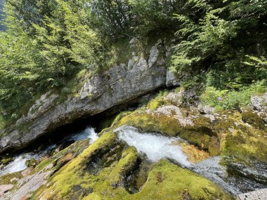 Soca Nehri 'nin kaynağı (Triglav Ulusal Parkı, Slovenya) - Der Lauf des Flusses Soca unmittelbar nach seiner Quelle (Nationalpark Triglav, Slowenien)