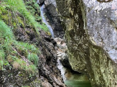 Fratarica kanyonu ve dere şelaleleri, Log pod Mangartom (Triglav Ulusal Parkı, Slovenya) - Fratarica-Schlucht und Bachwasserfaelle (Triglav-Nationalpark, Slowenien)