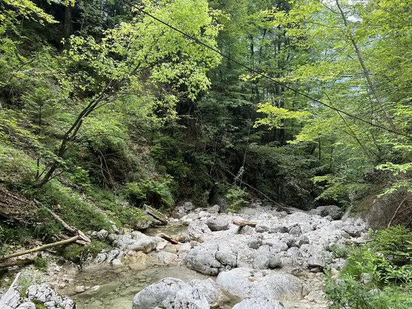 Fratarica kanyonu veya Kanyon ve Fratarica deresi, Log pod Mangartom (Triglav Ulusal Parkı, Slovenya) - Die Schlucht des Baches Fratarica (Nationalpark Triglav, Slowenien)