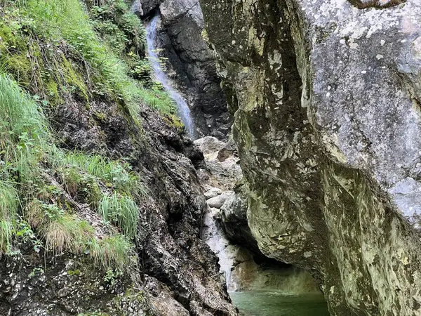 Fratarica kanyonu ve dere şelaleleri, Log pod Mangartom (Triglav Ulusal Parkı, Slovenya) - Fratarica-Schlucht und Bachwasserfaelle (Triglav-Nationalpark, Slowenien)