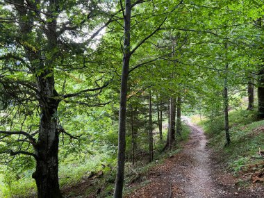  Raibl Gölü patikası ya da yürüyüş ve dinlenme yolları Lago del Predil Gölü boyunca - Sentiero del lago di Raibl (Cave del Predil, Italia) ali Sprehajalne poti ob Predilskem jezeru