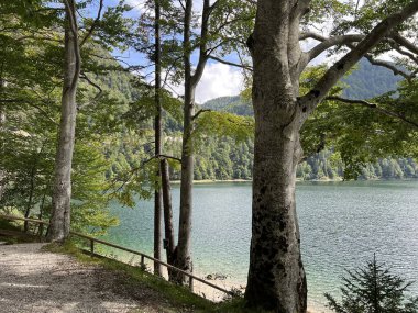  Raibl Gölü patikası ya da yürüyüş ve dinlenme yolları Lago del Predil Gölü boyunca - Sentiero del lago di Raibl (Cave del Predil, Italia) ali Sprehajalne poti ob Predilskem jezeru