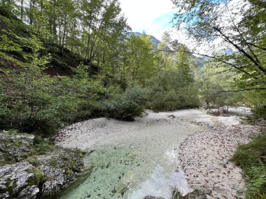 Fratarica kanyonu veya Kanyon ve Fratarica deresi, Log pod Mangartom (Triglav Ulusal Parkı, Slovenya) - Die Schlucht des Baches Fratarica (Nationalpark Triglav, Slowenien)