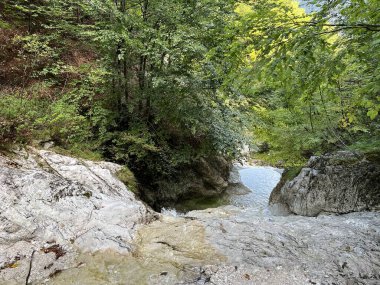 Fratarica kanyonu veya Kanyon ve Fratarica deresi, Log pod Mangartom (Triglav Ulusal Parkı, Slovenya) - Die Schlucht des Baches Fratarica (Nationalpark Triglav, Slowenien)