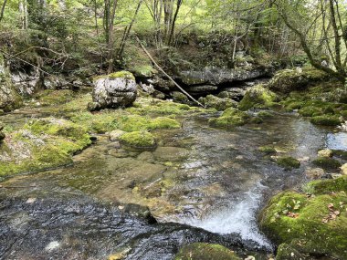 Virje şelalesinin üzerindeki Glijun nehri (Bovec, Slovenya) - Der Glijun-Bach oberhalb des Virje-Wasserfalls oder das Bett des Gljun-Bachs (Slowenien))