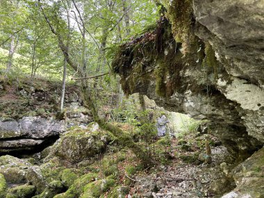 Virje şelalesinin üzerindeki Glijun nehri (Bovec, Slovenya) - Der Glijun-Bach oberhalb des Virje-Wasserfalls oder das Bett des Gljun-Bachs (Slowenien))