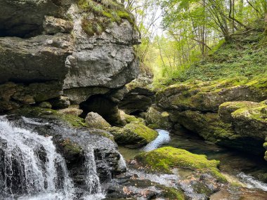 Virje şelalesinin üzerindeki Glijun nehri (Bovec, Slovenya) - Der Glijun-Bach oberhalb des Virje-Wasserfalls oder das Bett des Gljun-Bachs (Slowenien))