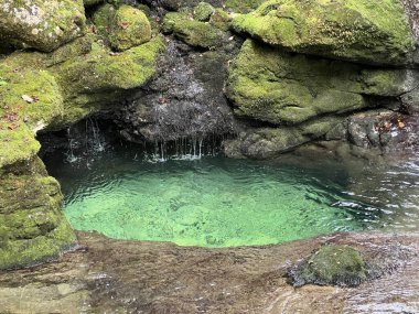 Virje şelalesinin üzerindeki Glijun nehri (Bovec, Slovenya) - Der Glijun-Bach oberhalb des Virje-Wasserfalls oder das Bett des Gljun-Bachs (Slowenien))