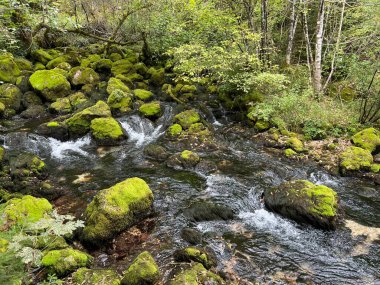 Kaynak Glijun veya Gljun (Bovec, Slovenya) - Die Quelle des Baches Glijun oder die Quelle Gljun (Bovec, Slowenien) - Izvir Glijuna veya Izvor Gljuna (Slovenija))