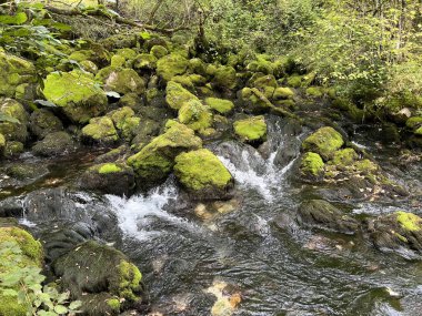 Kaynak Glijun veya Gljun (Bovec, Slovenya) - Die Quelle des Baches Glijun oder die Quelle Gljun (Bovec, Slowenien) - Izvir Glijuna veya Izvor Gljuna (Slovenija))