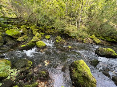 Kaynak Glijun veya Gljun (Bovec, Slovenya) - Die Quelle des Baches Glijun oder die Quelle Gljun (Bovec, Slowenien) - Izvir Glijuna veya Izvor Gljuna (Slovenija))