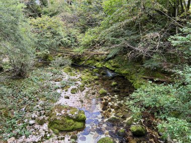 Kaynak Glijun veya Gljun (Bovec, Slovenya) - Die Quelle des Baches Glijun oder die Quelle Gljun (Bovec, Slowenien) - Izvir Glijuna veya Izvor Gljuna (Slovenija))