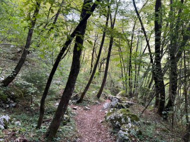 Koritnica Nehri kanyonunda yürüyüş izleri ve işaretler, Bovec (Triglav Ulusal Parkı, Slovenya) - Wanderwege und Markierungen in der Schlucht des Flusses Koritnica (Triglav-Nationalpark, Slowenie)