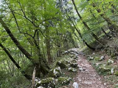 Koritnica Nehri kanyonunda yürüyüş izleri ve işaretler, Bovec (Triglav Ulusal Parkı, Slovenya) - Wanderwege und Markierungen in der Schlucht des Flusses Koritnica (Triglav-Nationalpark, Slowenie)