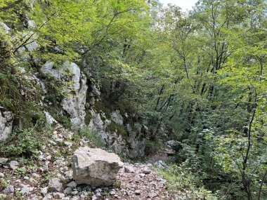 Koritnica Nehri kanyonunda yürüyüş izleri ve işaretler, Bovec (Triglav Ulusal Parkı, Slovenya) - Wanderwege und Markierungen in der Schlucht des Flusses Koritnica (Triglav-Nationalpark, Slowenie)