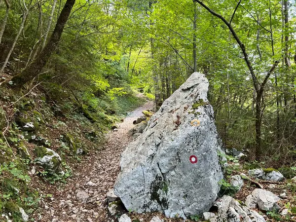 Koritnica Nehri kanyonunda yürüyüş izleri ve işaretler, Bovec (Triglav Ulusal Parkı, Slovenya) - Wanderwege und Markierungen in der Schlucht des Flusses Koritnica (Triglav-Nationalpark, Slowenie)