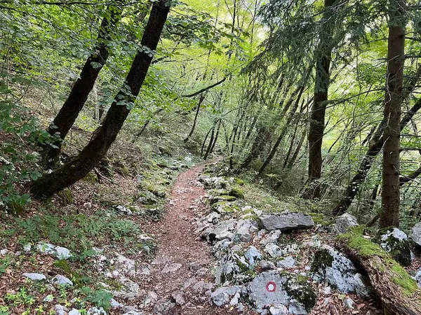 Koritnica Nehri kanyonunda yürüyüş izleri ve işaretler, Bovec (Triglav Ulusal Parkı, Slovenya) - Wanderwege und Markierungen in der Schlucht des Flusses Koritnica (Triglav-Nationalpark, Slowenie)
