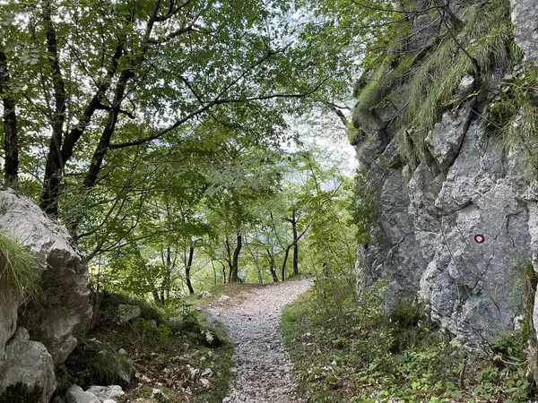 Koritnica Nehri kanyonunda yürüyüş izleri ve işaretler, Bovec (Triglav Ulusal Parkı, Slovenya) - Wanderwege und Markierungen in der Schlucht des Flusses Koritnica (Triglav-Nationalpark, Slowenie)