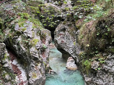 Moznica vadileri veya Nemclja kanyonu (Triglav Ulusal Parkı, Slovenya) - Moznica Troege oder Nemclja Flussbett, Bovec (Triglav-Nationalpark, Slowenien) - Klanac Moznice Moznice ali Korita Nemclje (Narodni parkı Triglav)