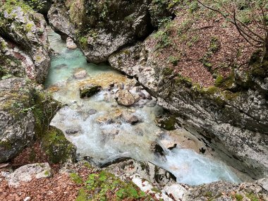 Moznica vadileri veya Nemclja kanyonu (Triglav Ulusal Parkı, Slovenya) - Moznica Troege oder Nemclja Flussbett, Bovec (Triglav-Nationalpark, Slowenien) - Klanac Moznice Moznice ali Korita Nemclje (Narodni parkı Triglav)
