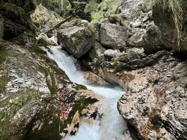 Moznica vadileri veya Nemclja kanyonu (Triglav Ulusal Parkı, Slovenya) - Moznica Troege oder Nemclja Flussbett, Bovec (Triglav-Nationalpark, Slowenien) - Klanac Moznice Moznice ali Korita Nemclje (Narodni parkı Triglav)