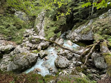 Moznica vadileri veya Nemclja kanyonu (Triglav Ulusal Parkı, Slovenya) - Moznica Troege oder Nemclja Flussbett, Bovec (Triglav-Nationalpark, Slowenien) - Klanac Moznice Moznice ali Korita Nemclje (Narodni parkı Triglav)