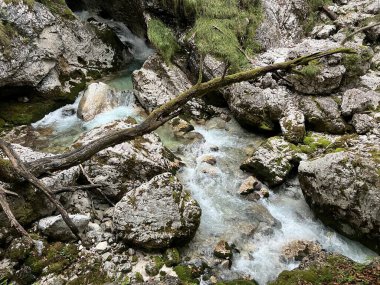 Moznica vadileri veya Nemclja kanyonu (Triglav Ulusal Parkı, Slovenya) - Moznica Troege oder Nemclja Flussbett, Bovec (Triglav-Nationalpark, Slowenien) - Klanac Moznice Moznice ali Korita Nemclje (Narodni parkı Triglav)