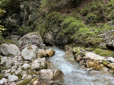 Moznica vadileri veya Nemclja kanyonu (Triglav Ulusal Parkı, Slovenya) - Moznica Troege oder Nemclja Flussbett, Bovec (Triglav-Nationalpark, Slowenien) - Klanac Moznice Moznice ali Korita Nemclje (Narodni parkı Triglav)