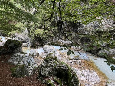 Moznica vadileri veya Nemclja kanyonu (Triglav Ulusal Parkı, Slovenya) - Moznica Troege oder Nemclja Flussbett, Bovec (Triglav-Nationalpark, Slowenien) - Klanac Moznice Moznice ali Korita Nemclje (Narodni parkı Triglav)