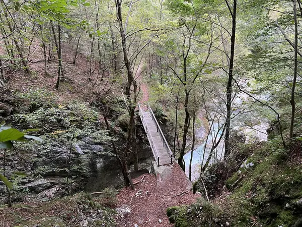 Moznica vadileri veya Nemclja kanyonu (Triglav Ulusal Parkı, Slovenya) - Moznica Troege oder Nemclja Flussbett, Bovec (Triglav-Nationalpark, Slowenien) - Klanac Moznice Moznice ali Korita Nemclje (Narodni parkı Triglav)
