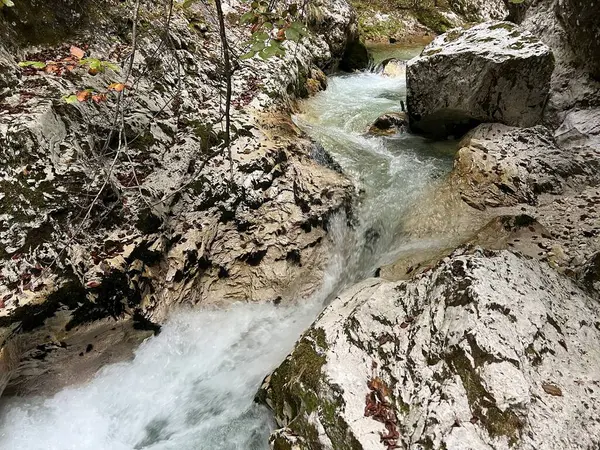 Moznica vadileri veya Nemclja kanyonu (Triglav Ulusal Parkı, Slovenya) - Moznica Troege oder Nemclja Flussbett, Bovec (Triglav-Nationalpark, Slowenien) - Klanac Moznice Moznice ali Korita Nemclje (Narodni parkı Triglav)