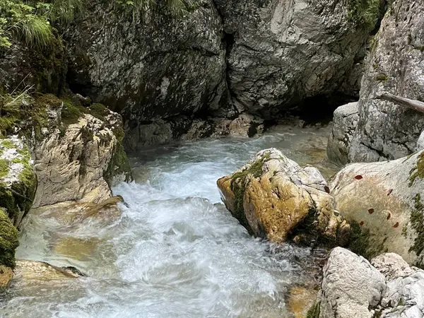 Moznica vadileri veya Nemclja kanyonu (Triglav Ulusal Parkı, Slovenya) - Moznica Troege oder Nemclja Flussbett, Bovec (Triglav-Nationalpark, Slowenien) - Klanac Moznice Moznice ali Korita Nemclje (Narodni parkı Triglav)