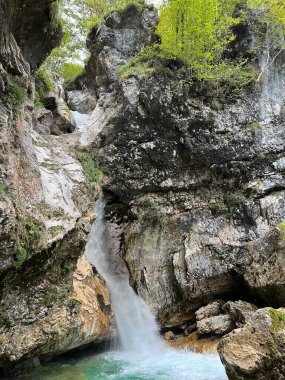 Şelale Moznica / Nemclja nehrinin büyük şelalesi (Triglav Ulusal Parkı, Slovenya) - Wasserfall Moznica oder Moznicafall - Tokat Moznice / Veliki şaplak Nemclje, Log pod Mangartom (Narodni parkı Triglav))