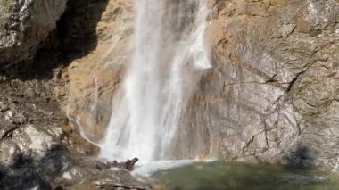 Dundelbachfalls şelalesi ya da şelale Dundelbachfall (Dundelbach alp akıntısında şelale), Lungern, İsviçre - Dundelbachfaelle Wasserfaelle oder Wasserfall Dundelbachfalle (Schweiz)