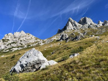 Mangart 'ın Julian Alpleri, Strmec na Predelu (Triglav Ulusal Parkı, Slovenya) çevresindeki otlaklar - Almen rund um den Mangart-Gipfel in den Julischen Alpen (Triglav-Nationalpark, Slowenien)