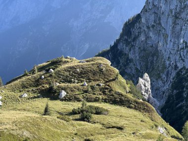 Mangart 'ın Julian Alpleri, Strmec na Predelu (Triglav Ulusal Parkı, Slovenya) çevresindeki otlaklar - Almen rund um den Mangart-Gipfel in den Julischen Alpen (Triglav-Nationalpark, Slowenien)