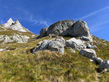 Mangart 'ın Julian Alpleri, Strmec na Predelu (Triglav Ulusal Parkı, Slovenya) çevresindeki otlaklar - Almen rund um den Mangart-Gipfel in den Julischen Alpen (Triglav-Nationalpark, Slowenien)