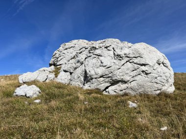 Mangart 'ın Julian Alpleri, Strmec na Predelu (Triglav Ulusal Parkı, Slovenya) çevresindeki otlaklar - Almen rund um den Mangart-Gipfel in den Julischen Alpen (Triglav-Nationalpark, Slowenien)