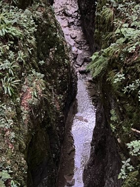 Doblarec Gorge veya Perilo Gorge, Rocinj (Slovenya) - Schlucht des Baches Doblarec (Slowenien) - Kanjon potoka Doblarec, Soteska Doblarec ali soteska Doblarca, Rocinj (Slovenija)