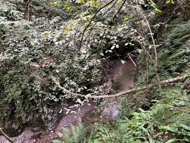 Doblarec Gorge veya Perilo Gorge, Rocinj (Slovenya) - Schlucht des Baches Doblarec (Slowenien) - Kanjon potoka Doblarec, Soteska Doblarec ali soteska Doblarca, Rocinj (Slovenija)