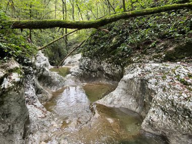 Doblarec Gorge veya Perilo Gorge, Rocinj (Slovenya) - Schlucht des Baches Doblarec (Slowenien) - Kanjon potoka Doblarec, Soteska Doblarec ali soteska Doblarca, Rocinj (Slovenija)