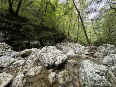 Doblarec Gorge veya Perilo Gorge, Rocinj (Slovenya) - Schlucht des Baches Doblarec (Slowenien) - Kanjon potoka Doblarec, Soteska Doblarec ali soteska Doblarca, Rocinj (Slovenija)