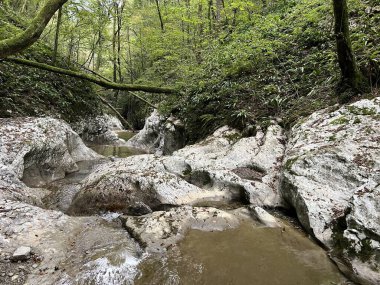 Doblarec Gorge veya Perilo Gorge, Rocinj (Slovenya) - Schlucht des Baches Doblarec (Slowenien) - Kanjon potoka Doblarec, Soteska Doblarec ali soteska Doblarca, Rocinj (Slovenija)