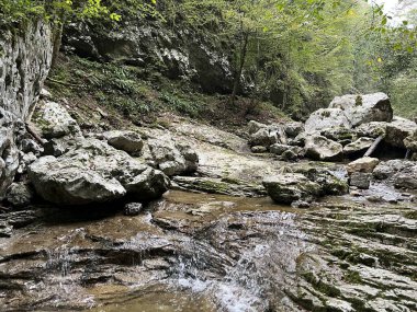 Doblarec Gorge veya Perilo Gorge, Rocinj (Slovenya) - Schlucht des Baches Doblarec (Slowenien) - Kanjon potoka Doblarec, Soteska Doblarec ali soteska Doblarca, Rocinj (Slovenija)