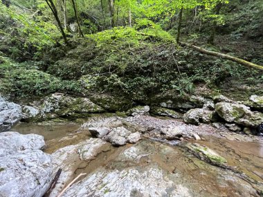 Doblarec Gorge veya Perilo Gorge, Rocinj (Slovenya) - Schlucht des Baches Doblarec (Slowenien) - Kanjon potoka Doblarec, Soteska Doblarec ali soteska Doblarca, Rocinj (Slovenija)