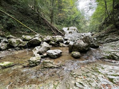 Doblarec Gorge veya Perilo Gorge, Rocinj (Slovenya) - Schlucht des Baches Doblarec (Slowenien) - Kanjon potoka Doblarec, Soteska Doblarec ali soteska Doblarca, Rocinj (Slovenija)