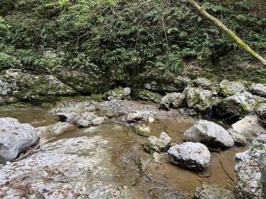 Doblarec Gorge veya Perilo Gorge, Rocinj (Slovenya) - Schlucht des Baches Doblarec (Slowenien) - Kanjon potoka Doblarec, Soteska Doblarec ali soteska Doblarca, Rocinj (Slovenija)